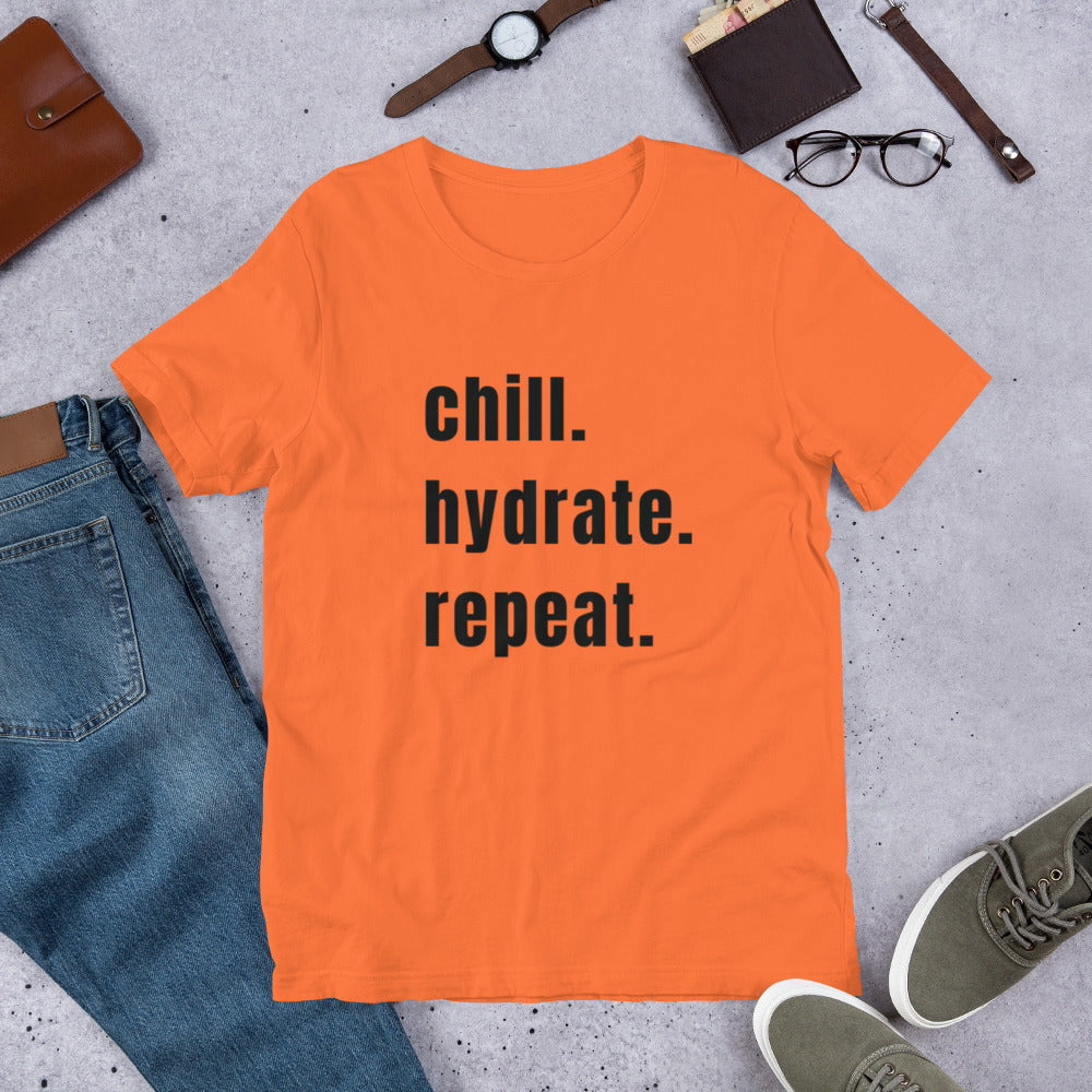 Chill Hydrate Repeat Unisex t-shirt